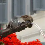 Le gaspillage de l'eau, un problème majeur
