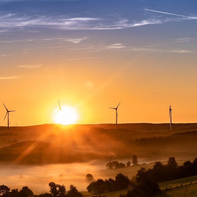 Les énergies vertes les plus utilisées