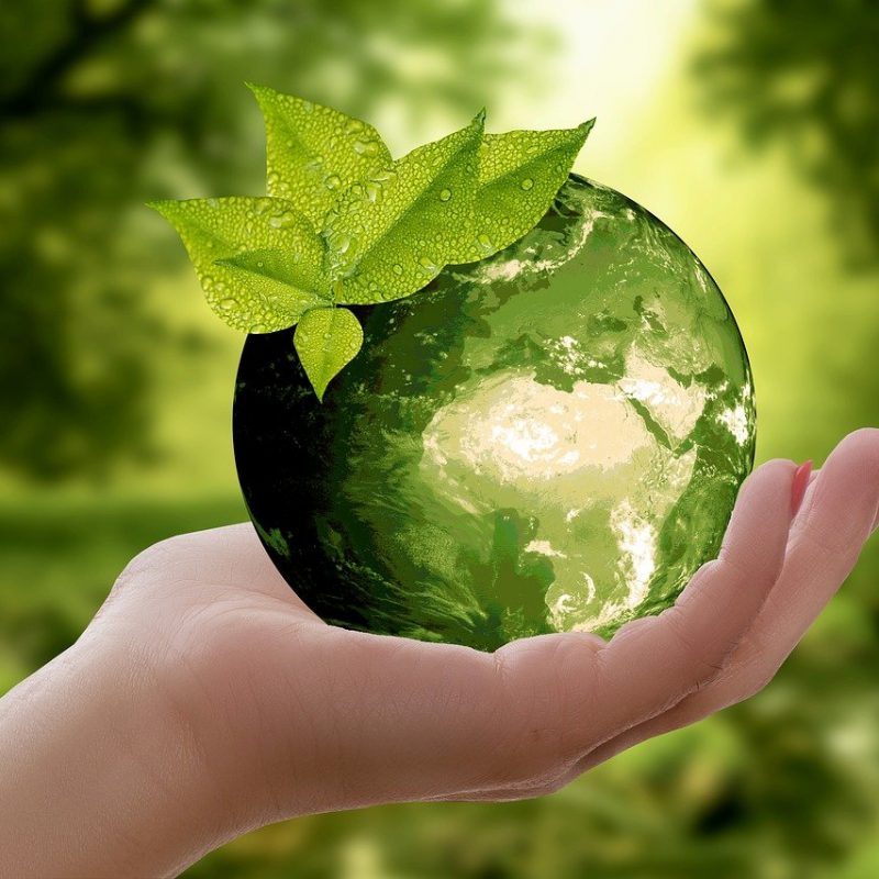 Le recyclage, une méthode très populaire