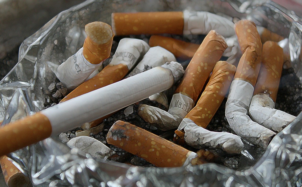 Le tabagisme et ses effets sur l'environnement