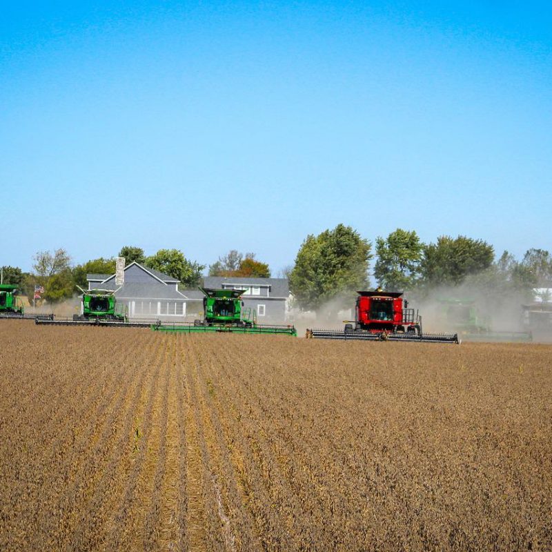 Les bonnes stratégies pour faire face à la crise alimentaire