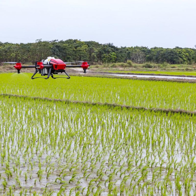 Les innovations technologiques dans l'agriculture