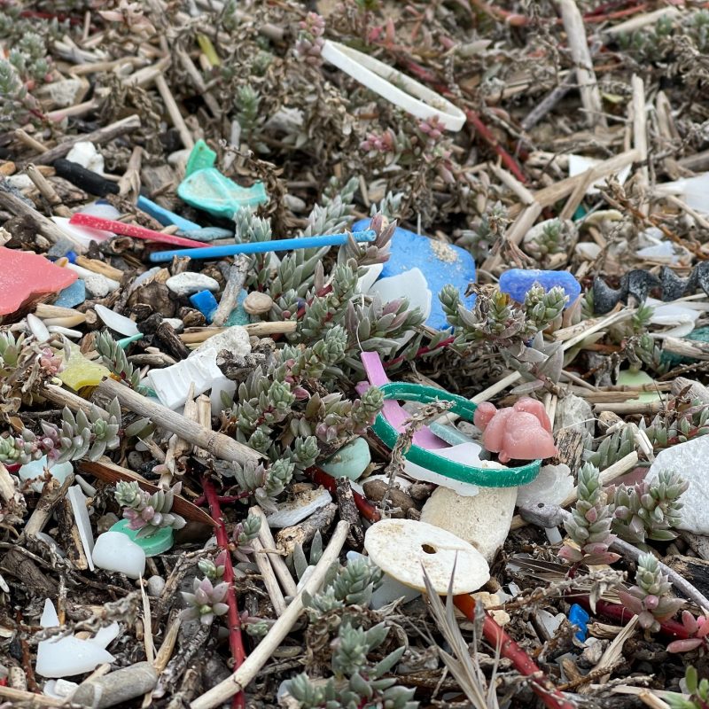La pollution en Afrique