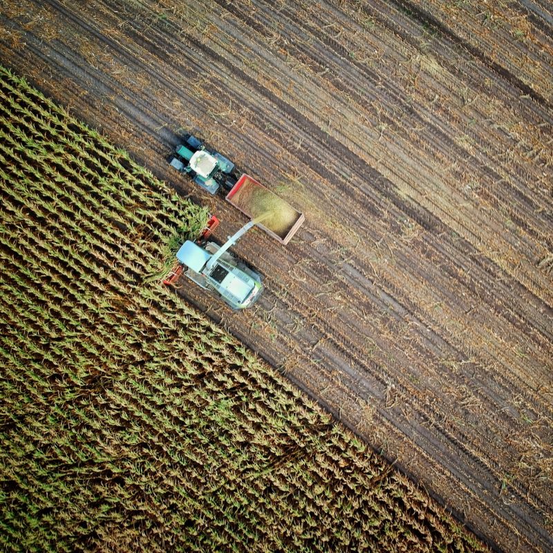 L'UE face à la crise alimentaire