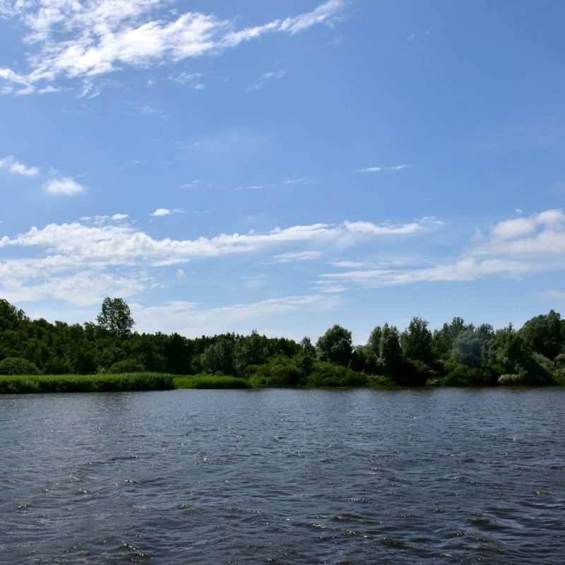 La bonne gestion de l'eau