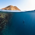 Protéger la biodiversité