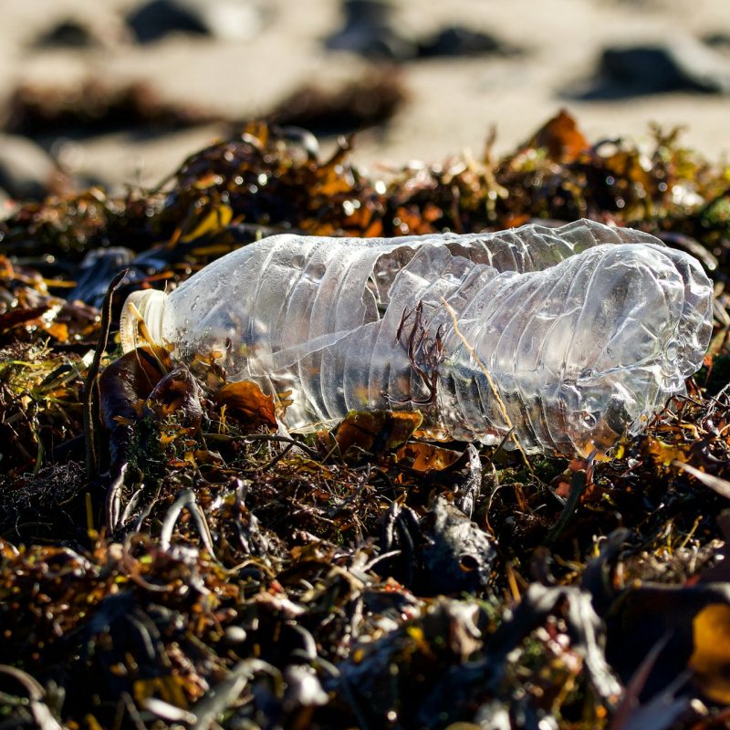 Pollution plastique