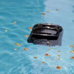 A black object floats in a blue pool with leaves