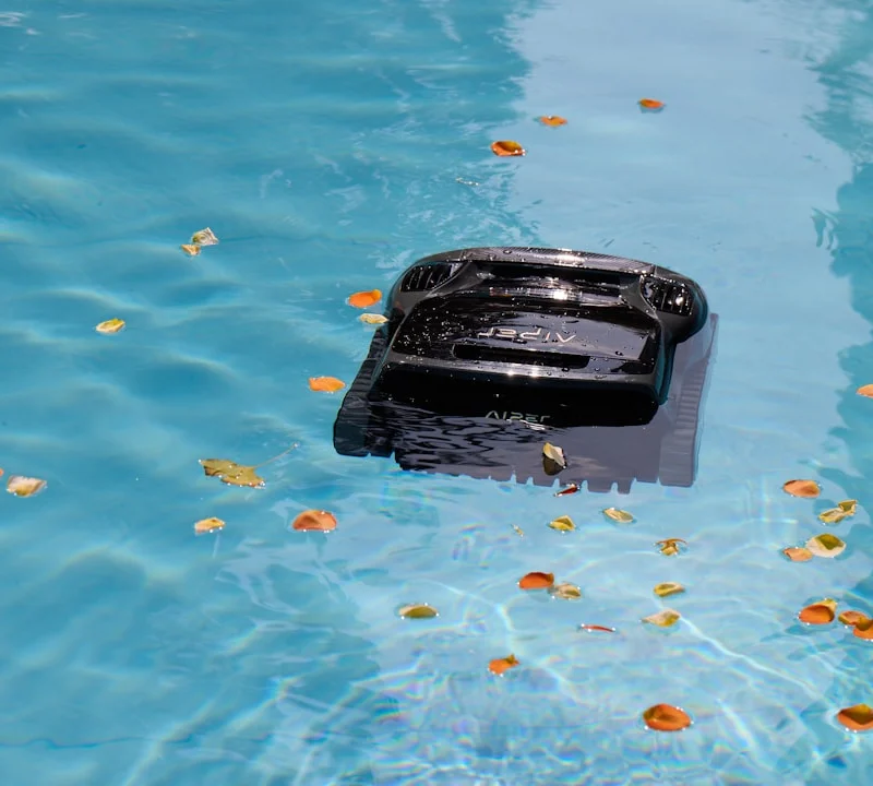 A black object floats in a blue pool with leaves